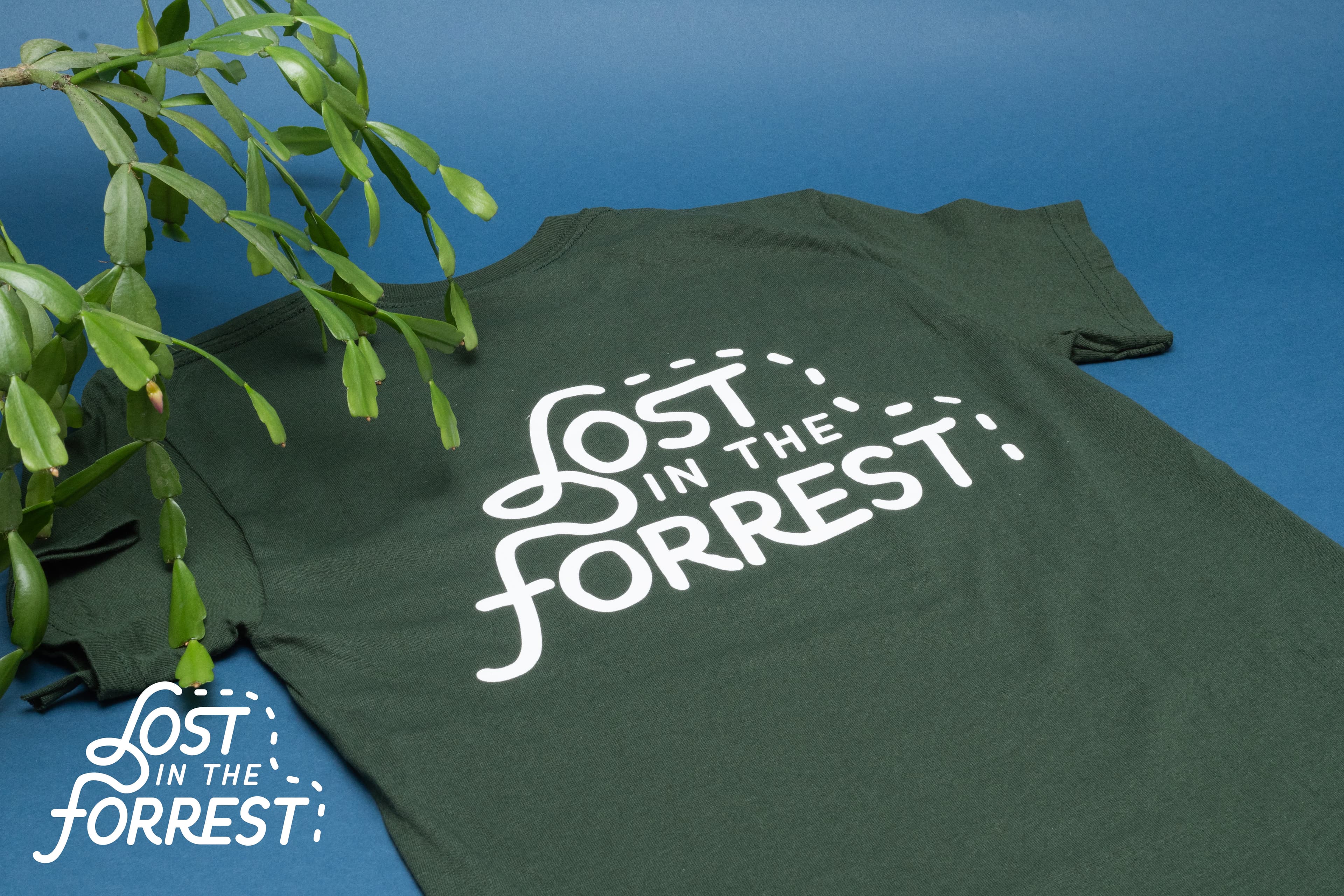 Common Plant Support Mistakes (and How to Avoid Them)