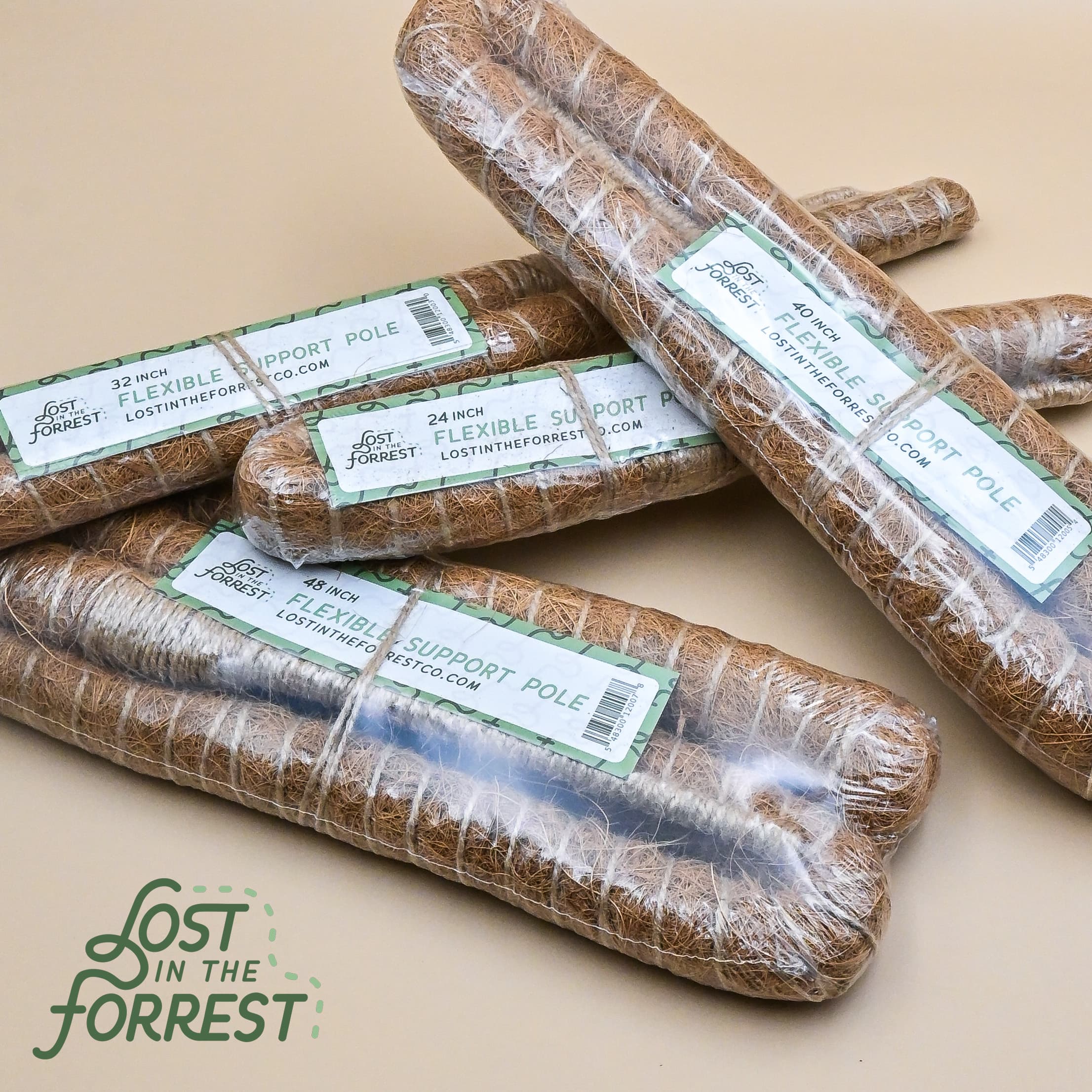 How Tall Should a Plant Support Be?