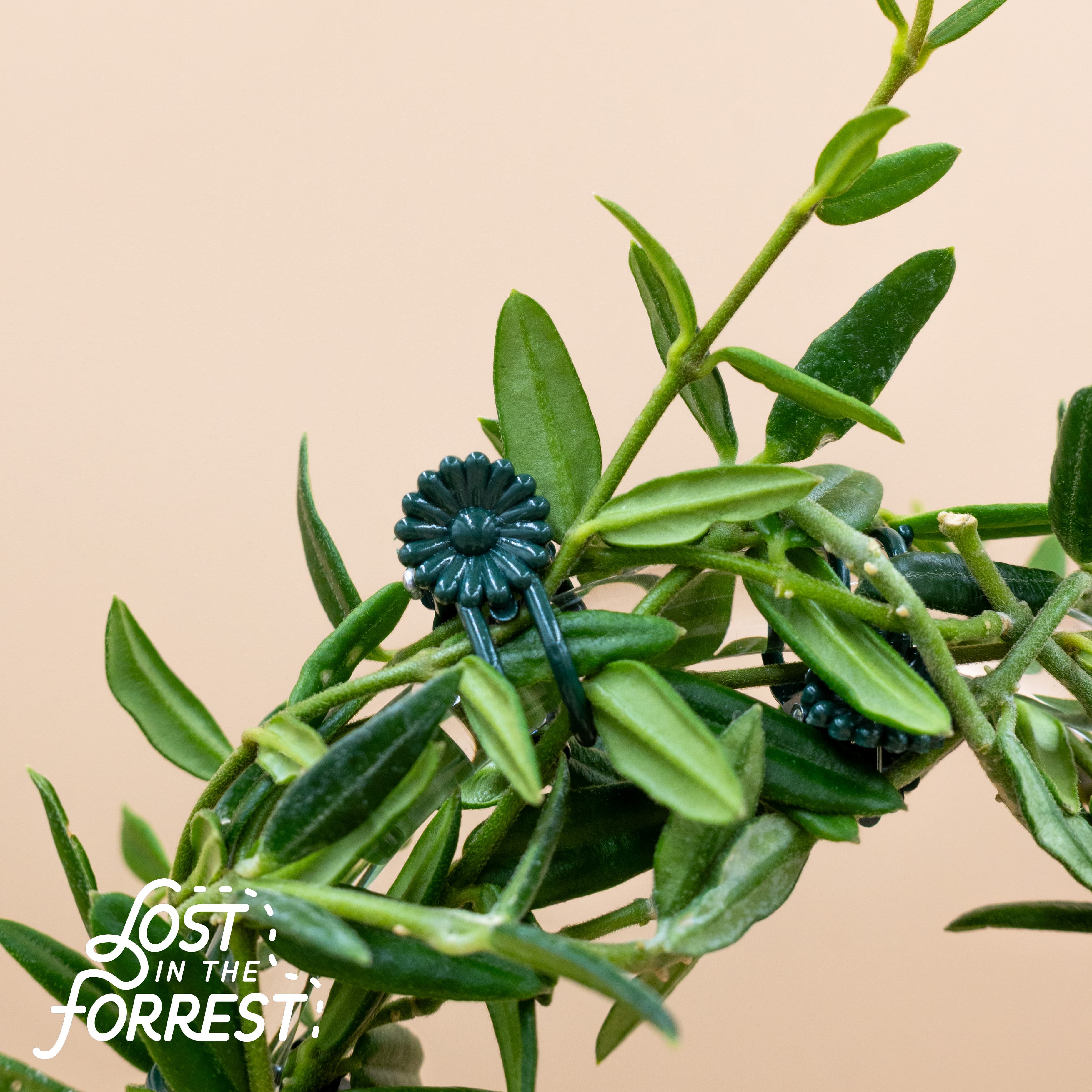 Plant support accessories on a neutral surface