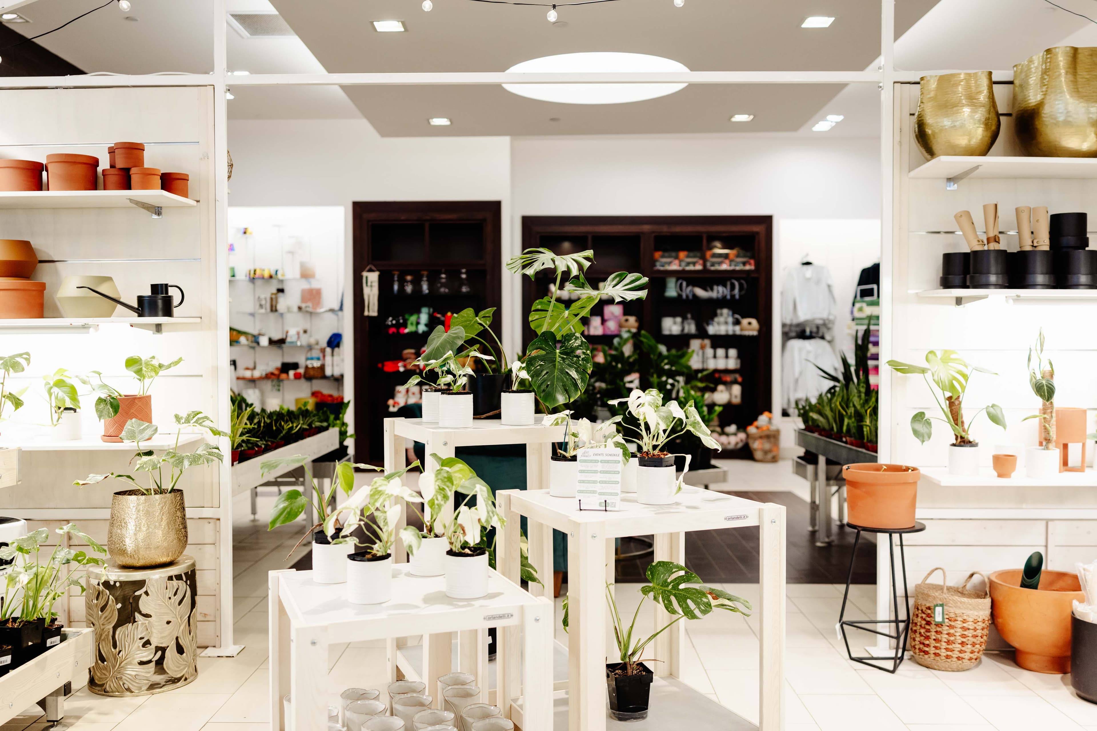 Interior of the Lost in the Forrest Test Kitchen